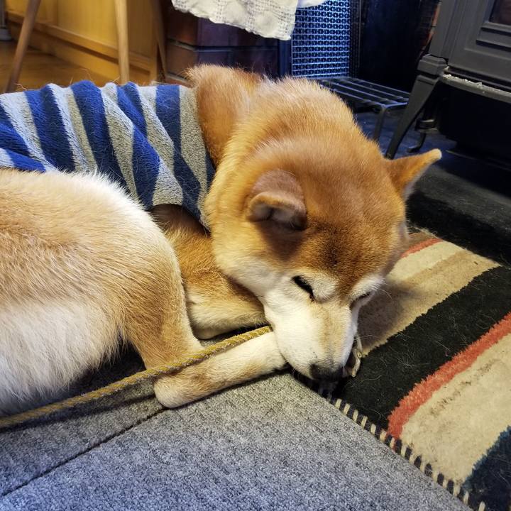 B442ba63 81a3 46c2 83de e27a6fa9a9d7 1580426894081