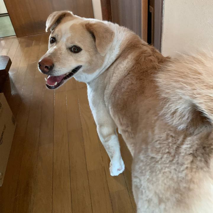 B442d850 ce4a 4b94 bc9c 770d206123e9 1585954161048