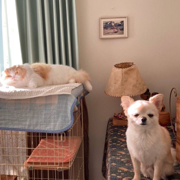 B442e6c2 779f 4b29 abfe 99167acd9bc2 1635933796734