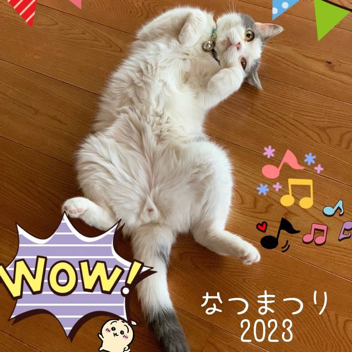 B443c142 04c4 44c3 b2a6 956f4551e0e6 1693056664726