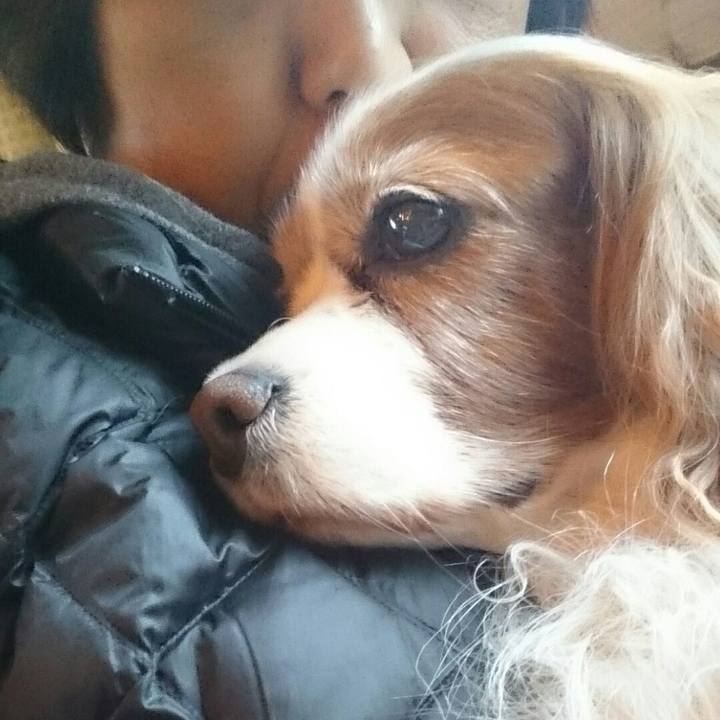 B443d922 f560 4fad 965a b383e81d0de4 1510391842614