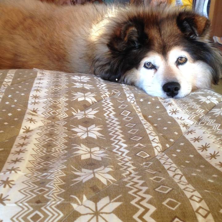 B443f198 cbcf 48fa 9ce8 5580c735fe0a 1613619686149