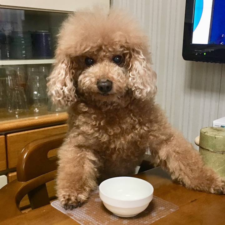 B4440a2a 8b5b 4852 aa2f 361a37851560 1518834186310