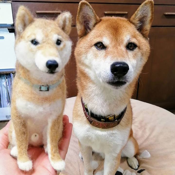 B444454e 338e 4141 8b87 9605b3055fdc 1628500116959