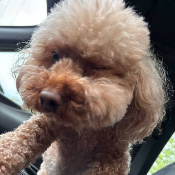 B444976f 72fb 4d67 9408 3e04a203232c 1748657266750