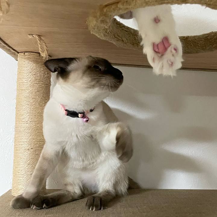 B444adee 969d 4799 a90b 2e680f00c000 1699385044878