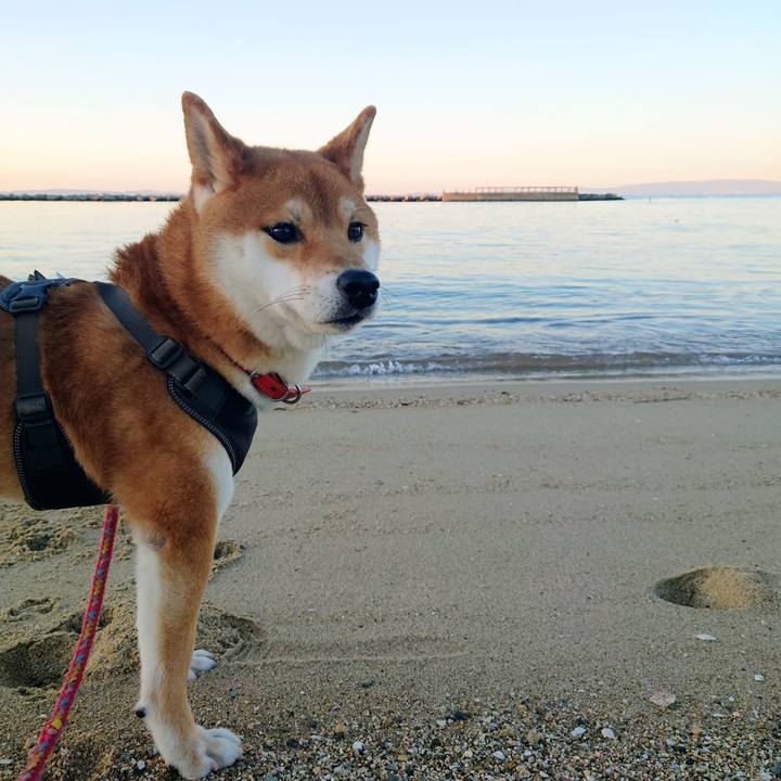 B4451a05 82b6 43d6 b3bb 5ca7d7734770 1765102647930