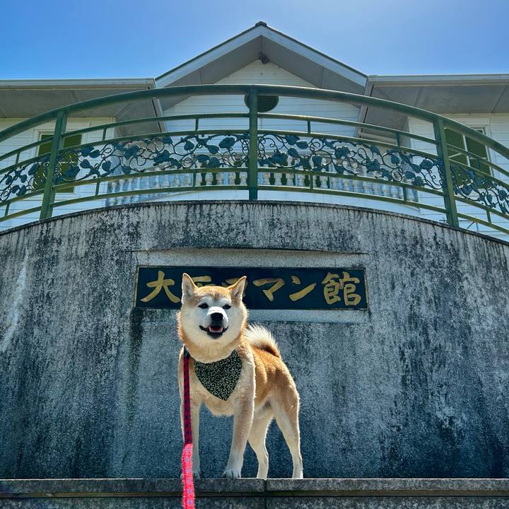 B44547de 0667 4039 93a9 f036edeca6dc 1716548955543