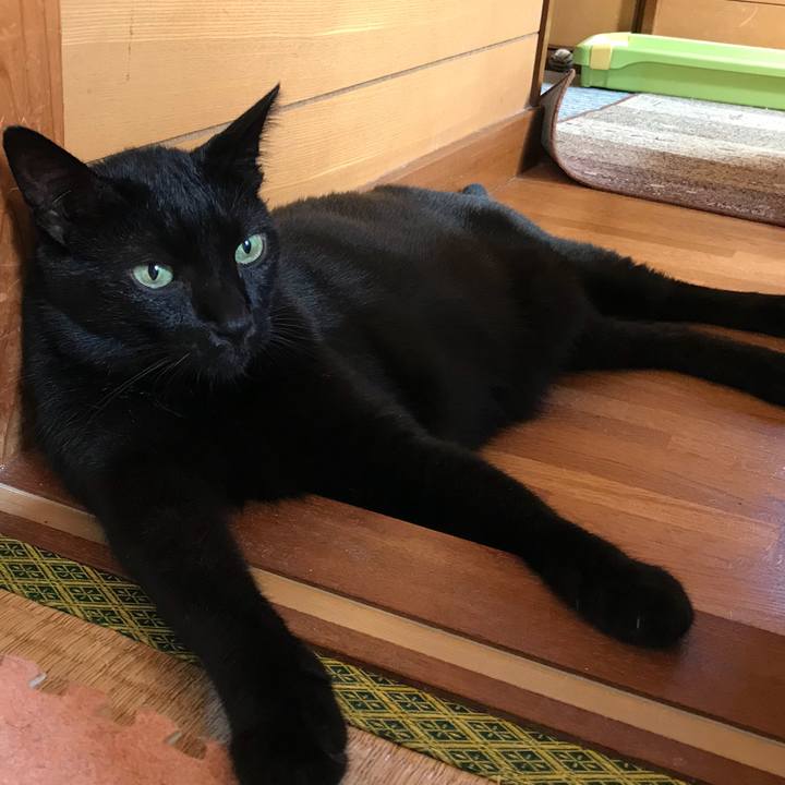 B445669f 1657 4b3a 8eff d348669b7451 1536802403116