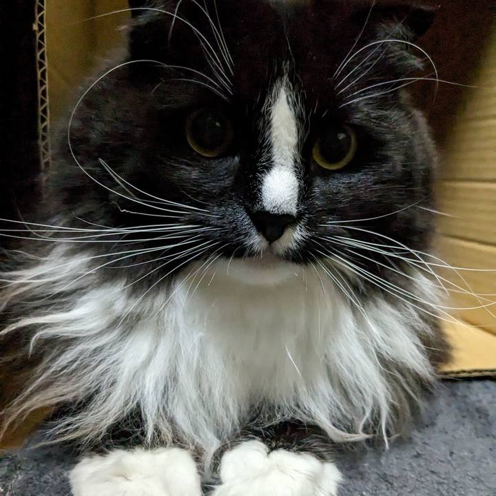 B44566c6 d56f 4d02 bb0f a922b234e451 1679410067817