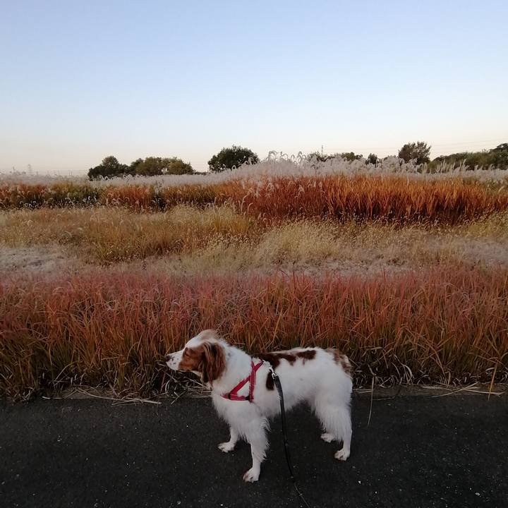 B4459aea be7f 42b7 87e3 16941edd74e4 1573863215206