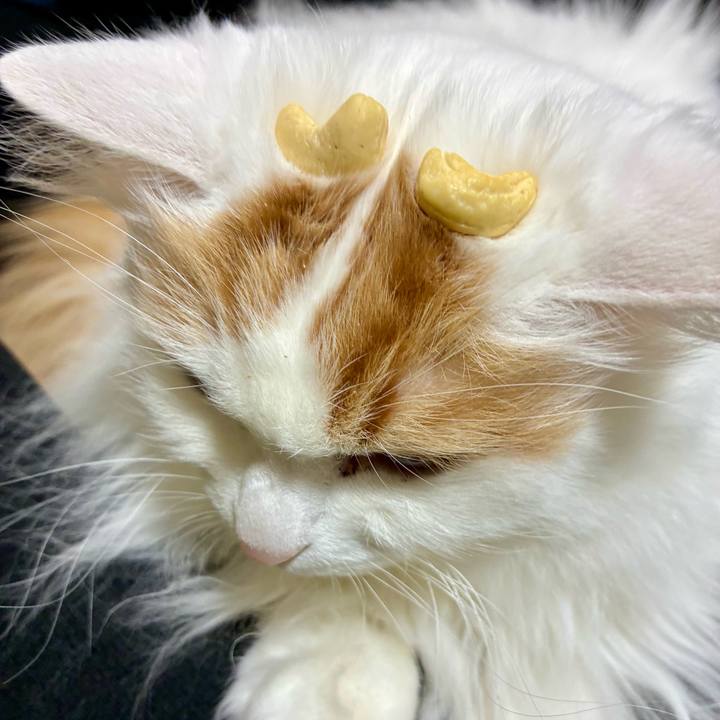 B445b782 37f6 4fc0 9752 08948cd108e0 1770127978367