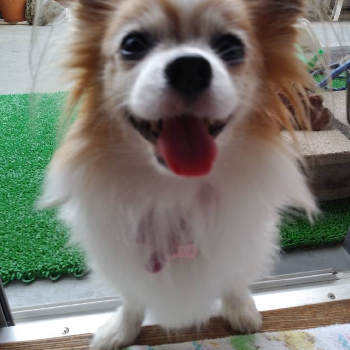 B445c1d4 7544 4fdc 9ff1 a55baf660be5 1535617074916