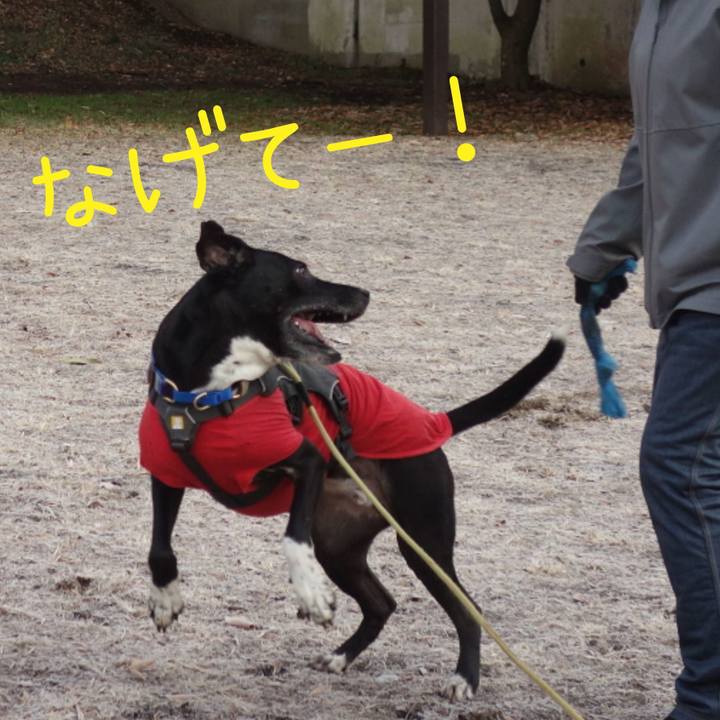 B445d3f6 76e2 4494 84e1 a4b9be2cb6e4 1644631831839