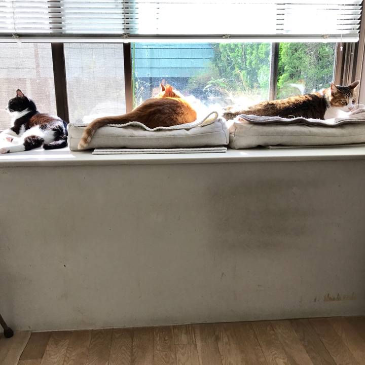 B445eef5 53aa 4ec4 884d 57388c1d6fcd 1509164747740