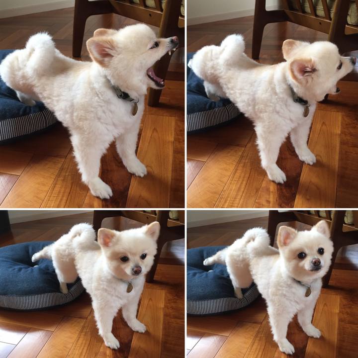 B4460799 c1c8 4409 86aa 9c99745304e8 1601019104012