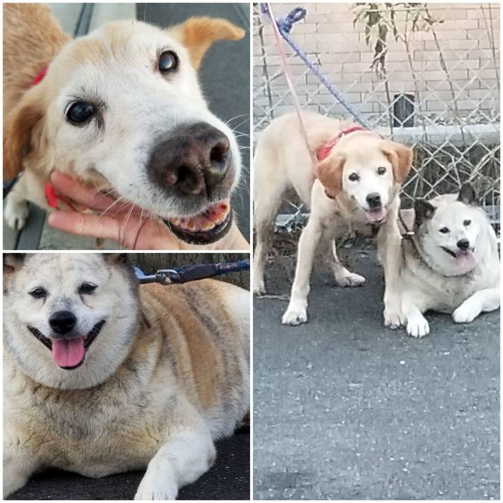 B44608d3 b888 49fa a827 a4b75cdf98de 1758080997805