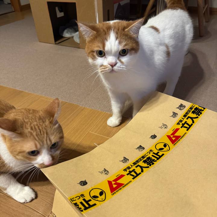 B4463db5 86ec 49e3 9749 2706fb472f3a 1766734667865