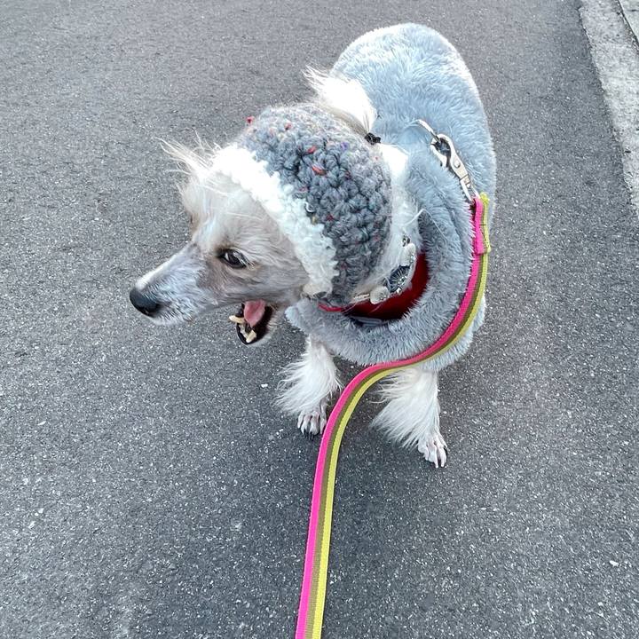 B44680d3 3a80 4808 9e30 aece77de4fb6 1763715288160