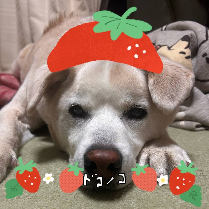 B44688aa 90db 45e0 937e a11deeda9e43 1775219338229