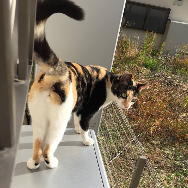 B446a806 0401 4d61 a899 d5375d80e45a 1511572992535