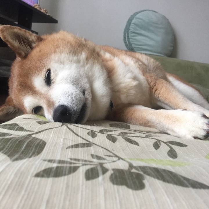 B446a927 4f03 4c2d bf62 70edac87c8fa 1526183198359