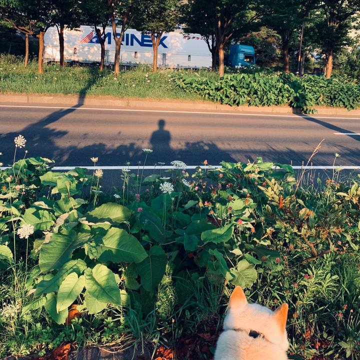 B446afe1 f734 4796 b193 ba523341bae8 1596229579694