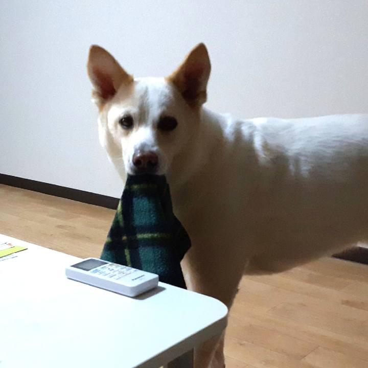 B446e482 5fac 4130 aef7 4f5483225006 1645722635314