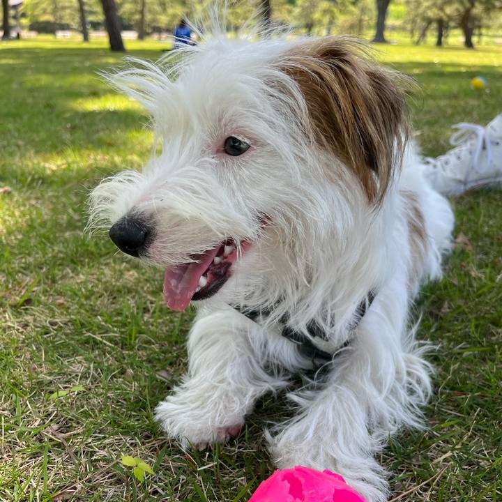 B4470fd2 d2bb 482f b670 41a7e2c88684 1714817254250