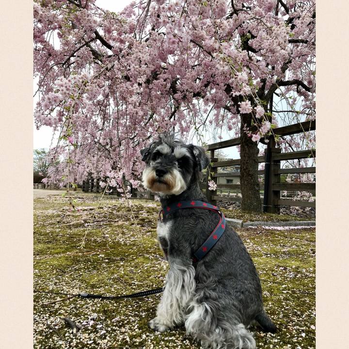 B44716ec 3f34 40ce 956e 431dd935853b 1650075650216