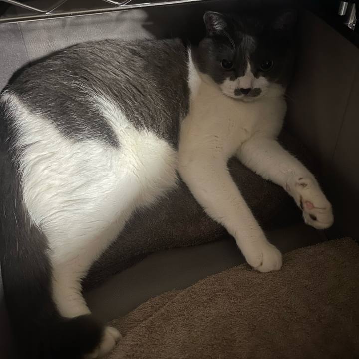 B4471ee4 7636 4c58 899e 8ae1f83a5e9f 1755158635312