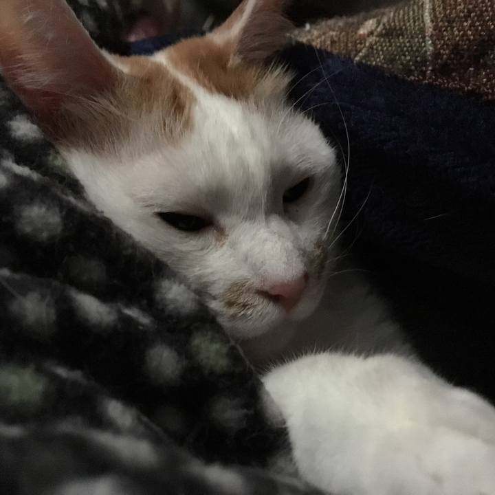 B447a4ca fbfe 4c41 9bef 1b1dcc0fd371 1556486412117