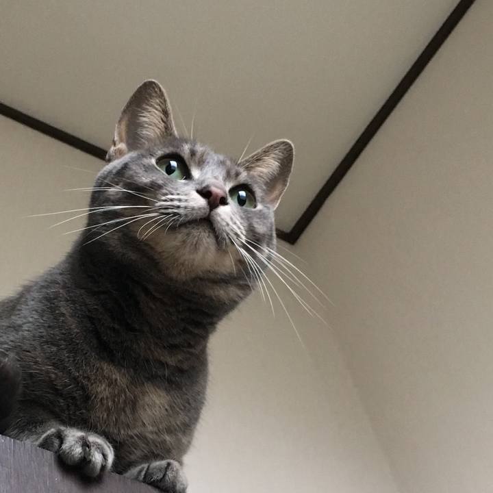 B447ff61 5d74 4e4c b138 0dd64dc1878e 1508148202547