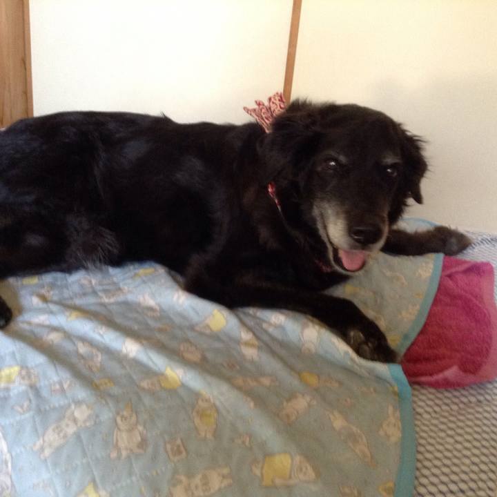 B44821c1 2c82 4acb 9c5e 3a804e27972b 1527897820810