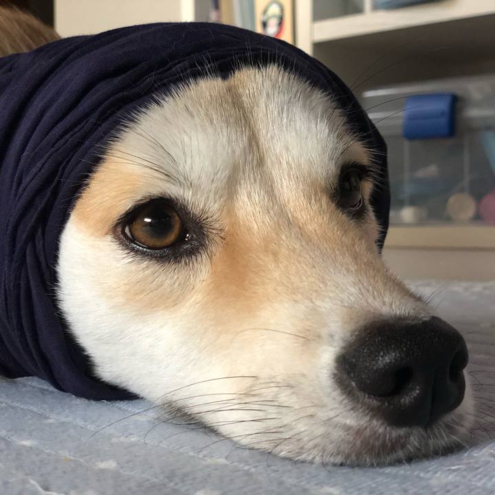 B44842e5 2423 405e 9cb9 e0f932ed96d5 1568171432485