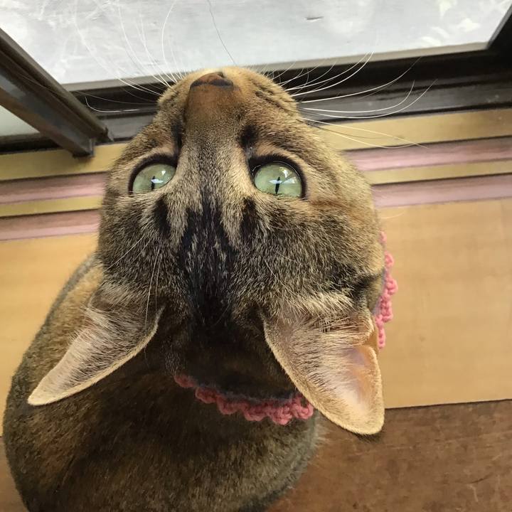 B44847f8 15d1 425d 9bda cf904377c19f 1617255743974