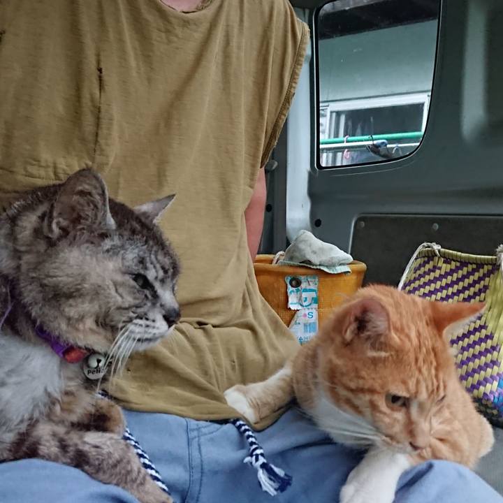 B44872b5 db44 47cf 81c9 128e77d5ff7f 1597179715400