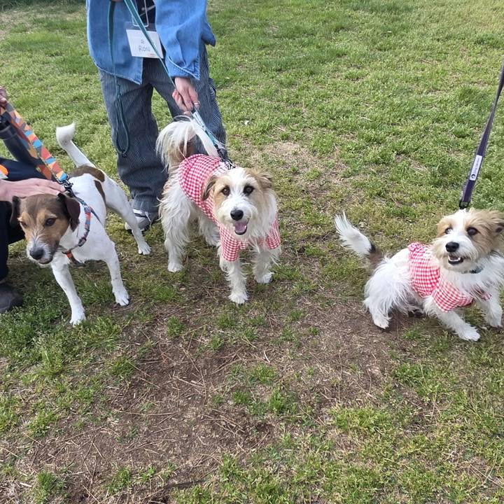 B448a385 1677 4f56 b932 bed865776c97 1774779840665