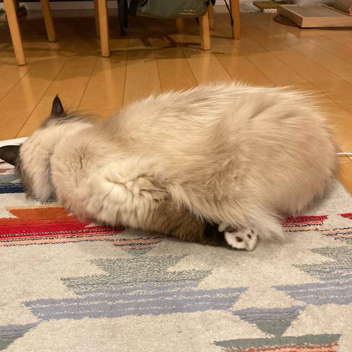 B448b049 7c82 4337 82a4 bc4cfd375531 1592659885595