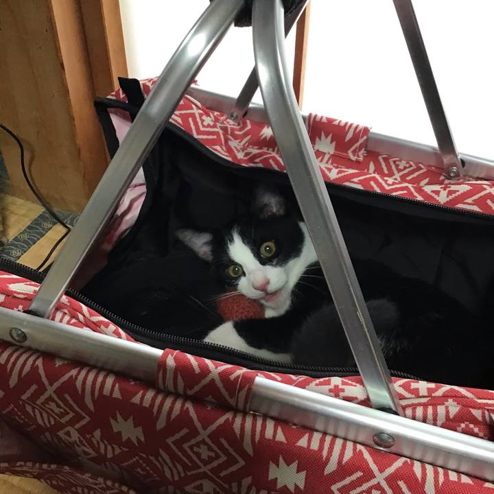 B448b7f2 02b3 4e86 8beb 997f127ce210 1630201962953