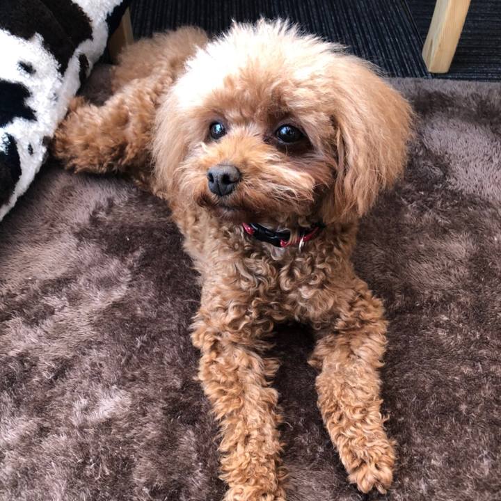 B4491de4 eb9e 47e0 96dc 391a351fcd88 1615978322809