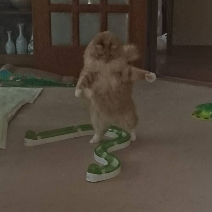 B4494e39 6e7a 45a7 95fc 562360b8cf27 1511845602612