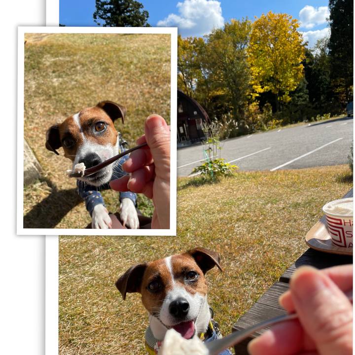 B4496458 5823 40e2 b1ad 2bf8f1cb1214 1636008930739