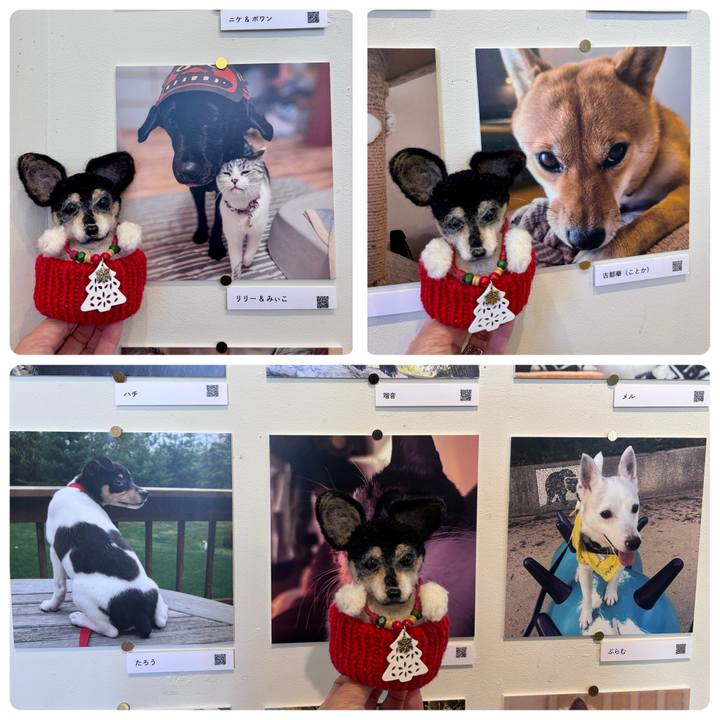 B44965a7 4370 4a15 902b 4c40e0aa8ab3 1765611714833