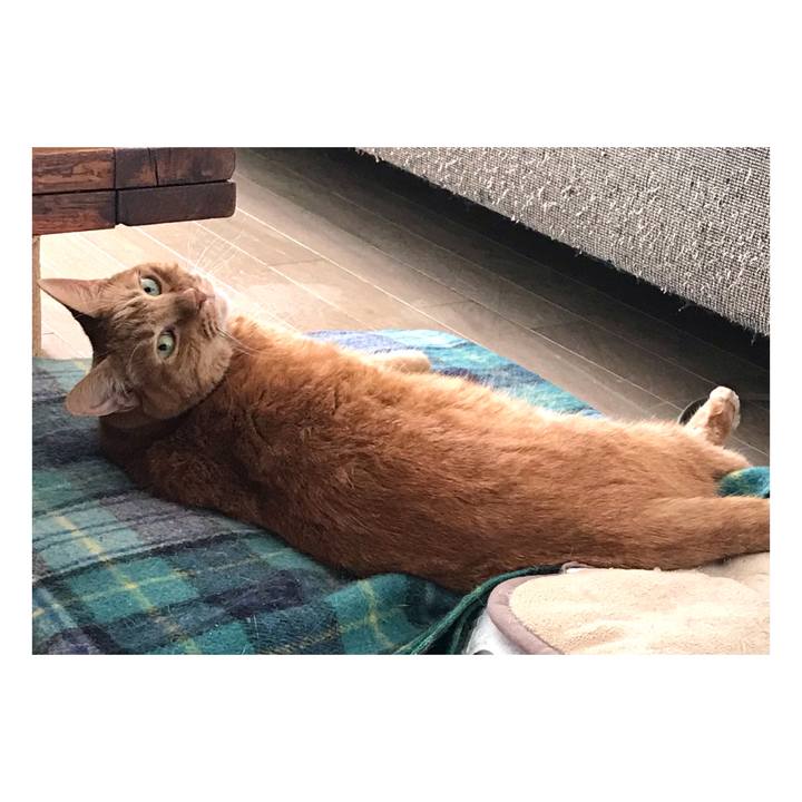 B449918e 7288 4605 9420 d30fa9085cd1 1638247299412