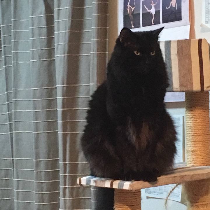 B449956e 974f 4aa9 b4df 5806e2cf58f4 1539262828946