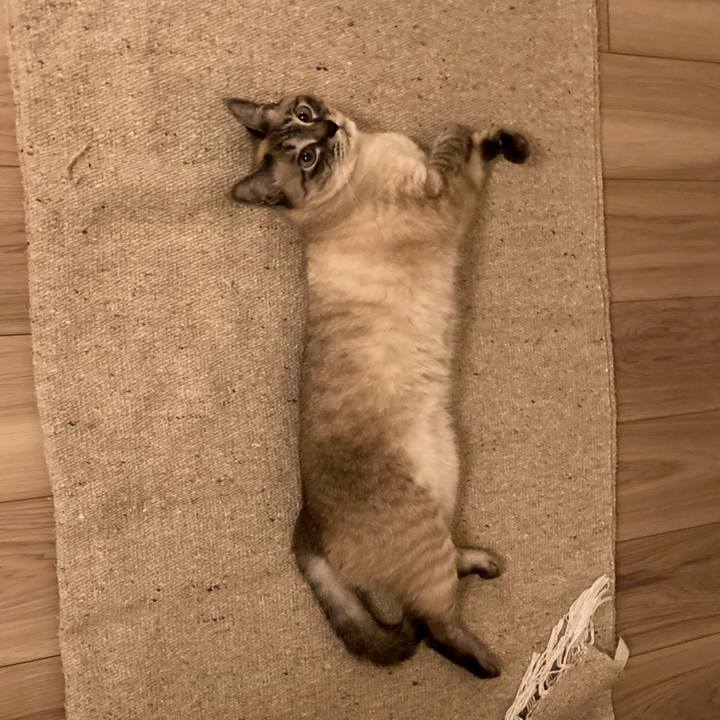 B44a663b 6d60 464f 9a21 97b87b49d908 1750143488249