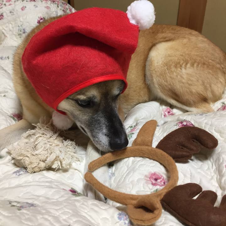 B44a7ed9 2eb8 4f0d 997e 2751693e43cd 1513504566281