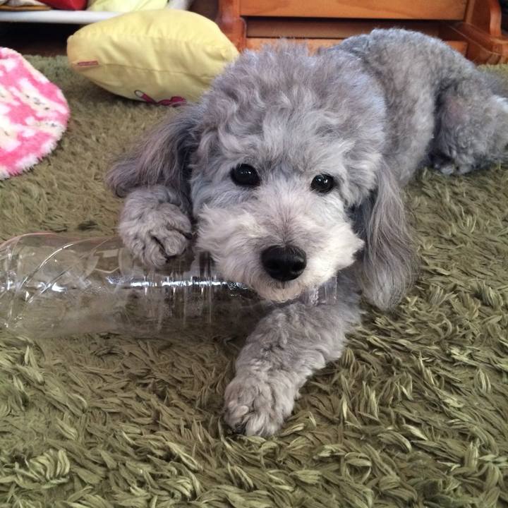 B44a98fe e822 4425 a0bd 432fe6464c79 1769991212319