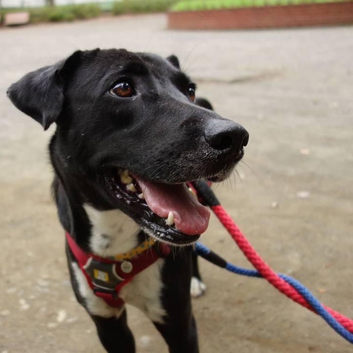 B44aa741 3ea3 4b71 a81c 93e87a92142c 1592437162241